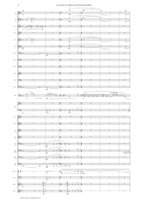 Bassoon ConcertinoZ 7